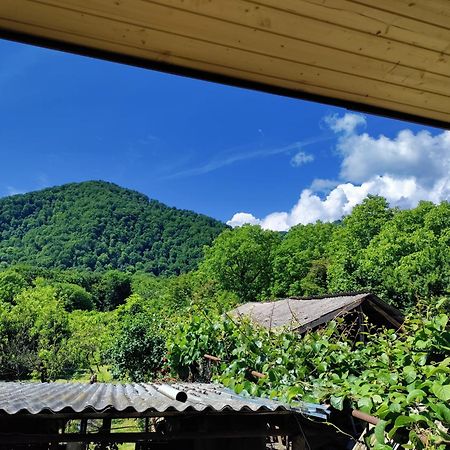 Jibghashvilebi'S House Lagodekhi Ngoại thất bức ảnh
