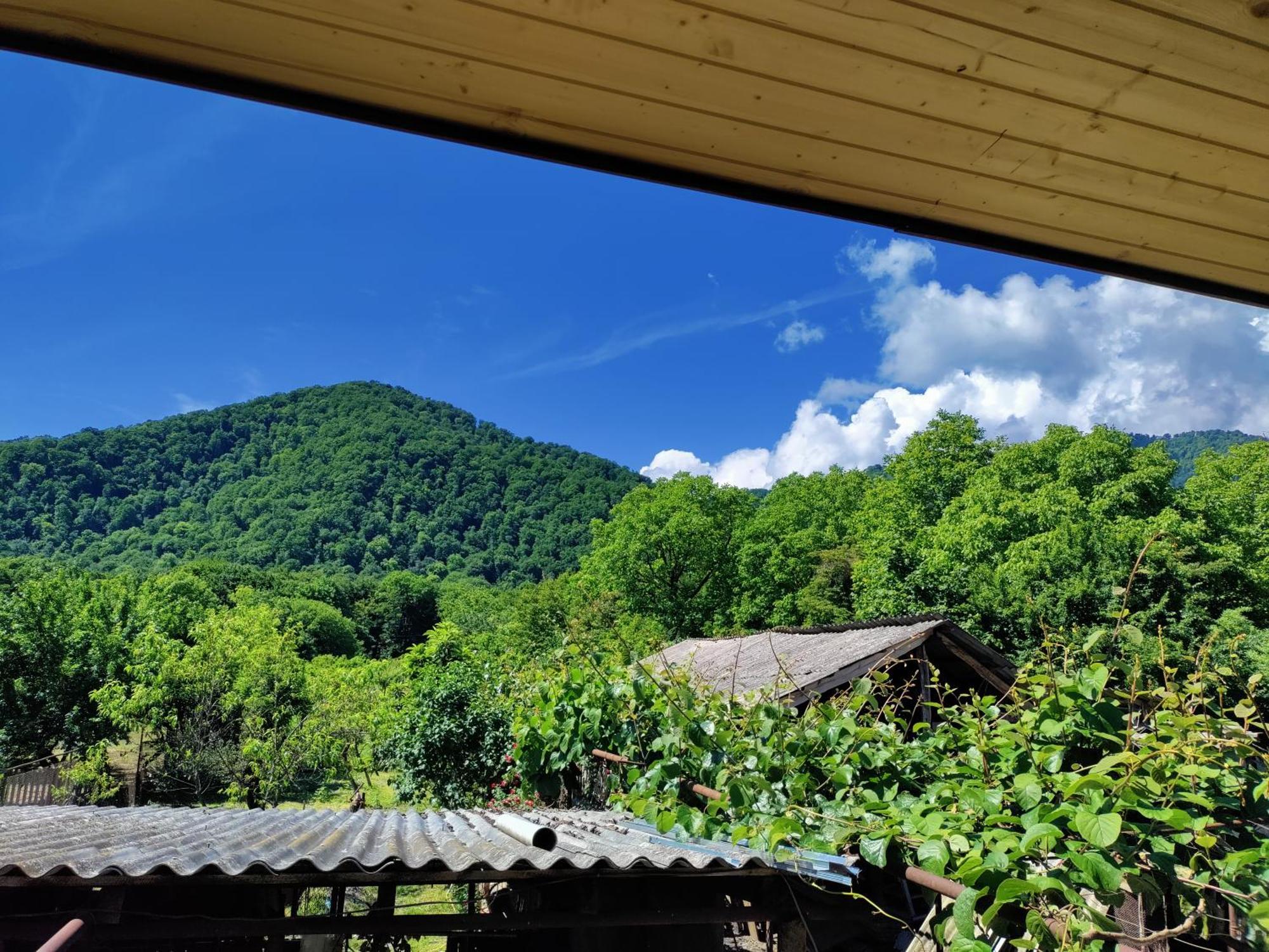Jibghashvilebi'S House Lagodekhi Ngoại thất bức ảnh